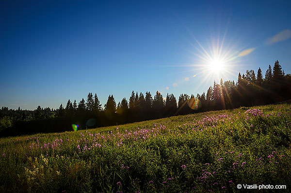 Дифракционные лучи (sunstar, starburst).