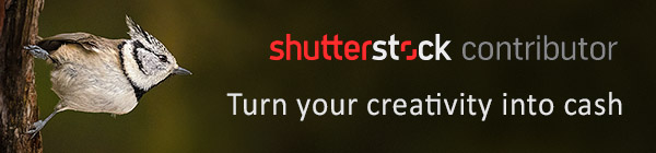 Регистрация на Shutterstock